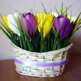 Hoa vải và hoa khô