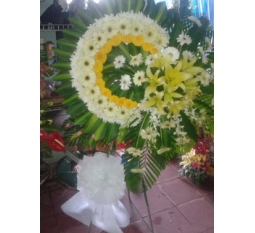 Hoa chia buồn - CB06