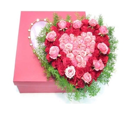 Hoa dành tặng VIP-HTV3