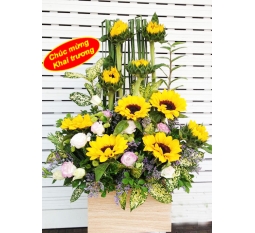 Hoa khai trương - KT004