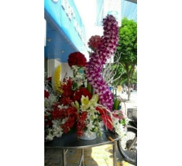 Hoa khai trương - KT013