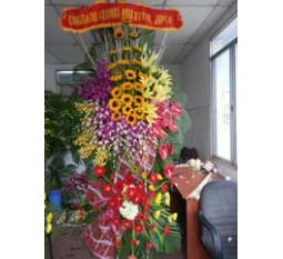 Hoa khai trương - KT025