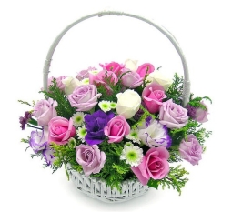 Hoa sinh nhật-SN010