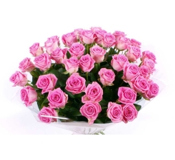 Hoa sinh nhật-SN012