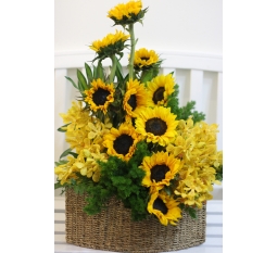 Hoa sinh nhật-SN02