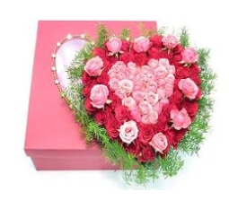 Hoa sinh nhật-SN05