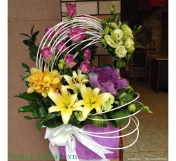 Hoa sinh nhật-SN08