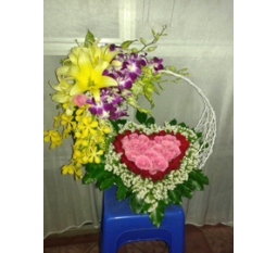 Hoa Valentine-HVA012