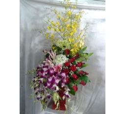 Hoa Valentine-HVA015