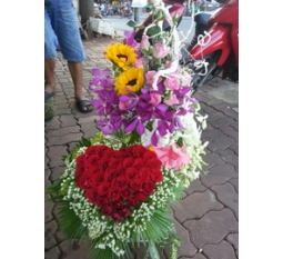 Hoa Valentine-HVA017