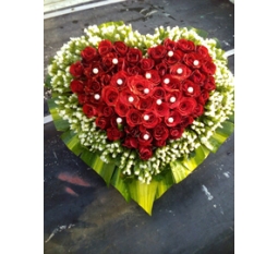 Hoa Valentine-HVA021