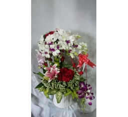 Hoa Valentine-HVA023