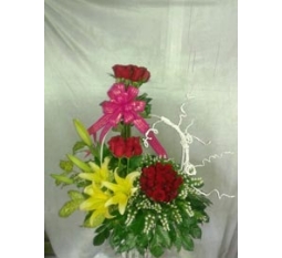 Hoa Valentine-HVA024