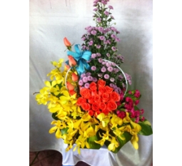 Hoa Valentine-HVA028