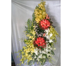 Hoa Valentine-HVA029