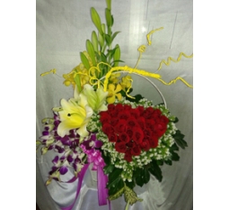 Hoa Valentine-HVA030