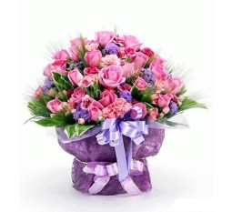 Hoa dành tặng VIP-HTV7