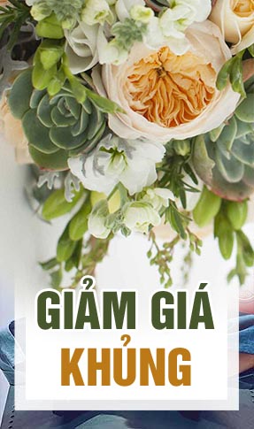 Hình số 1