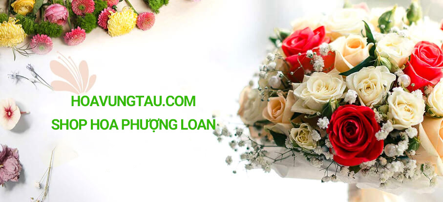 Shop hoa Phượng Loan